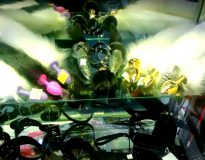 Romantic Depot Bronx Bondage 31 Romantic Depot Bronx Bondage 31