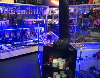 Romantic Depot Bronx Demo Station 1 Romantic Depot Bronx Demo Station 1