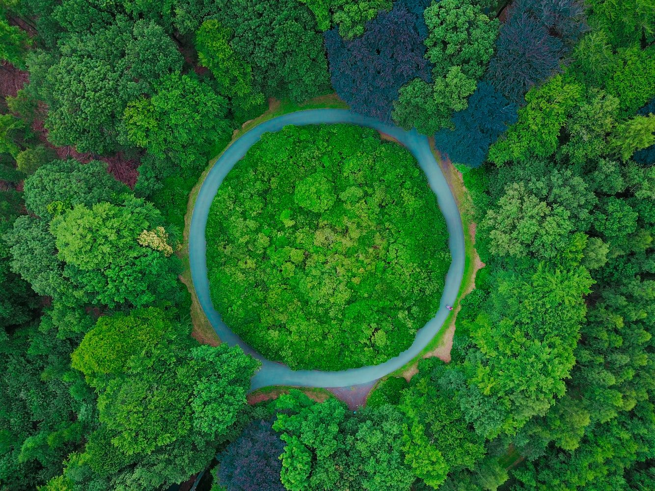 Cock Ring Imagery